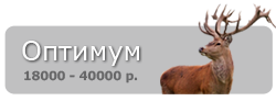 оптимум
